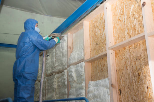 Best Insulation Contractors for Homes  in Freeport, PA